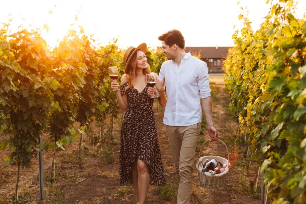 Understanding The Difference Between Organic And Natural Wine 1 AdobeStock 216637052 Large