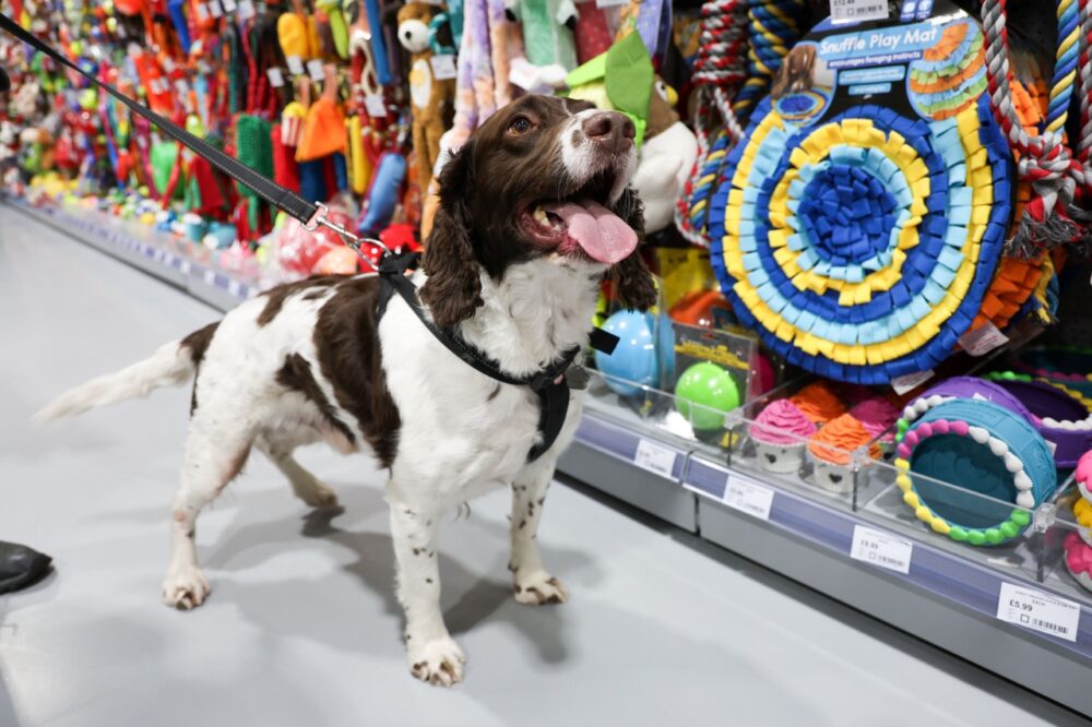 Jollyes Opens New Pet Store In York 2 YORK STORE OPENING 20092024 14 copy Large
